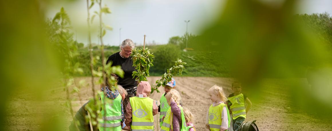 foto af børn der planter træ