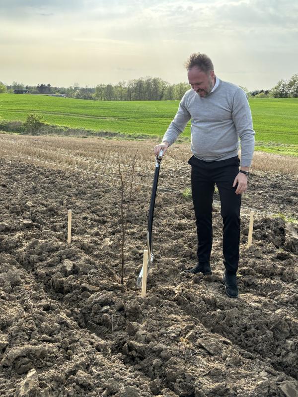 Foto af Dan Jørgensen der planter et træ 