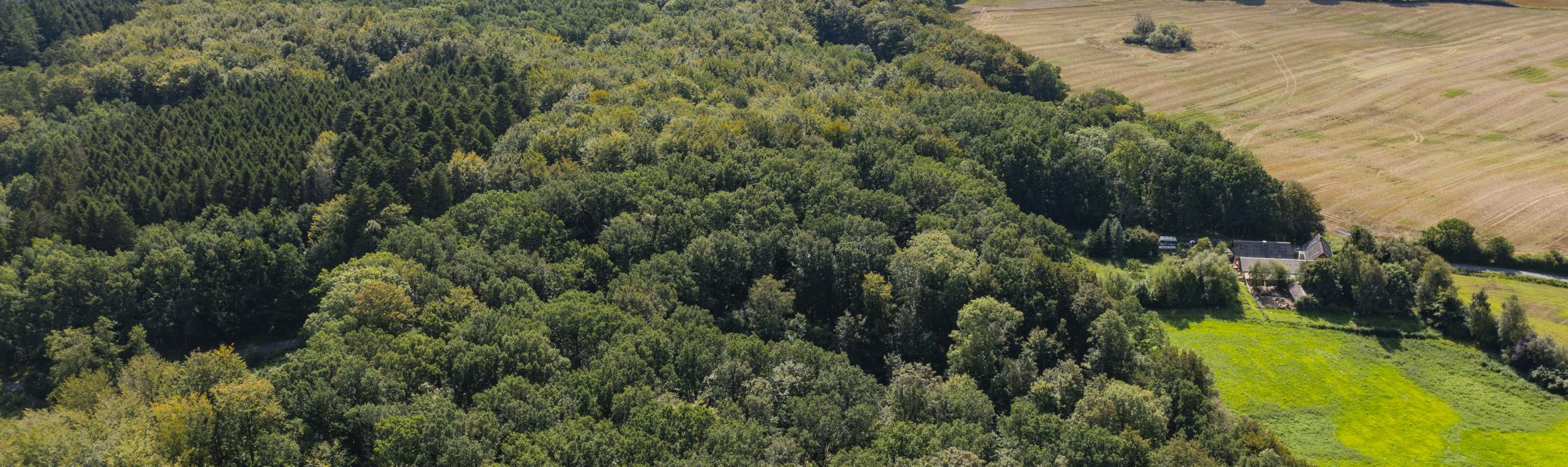 luftfoto af skovområde