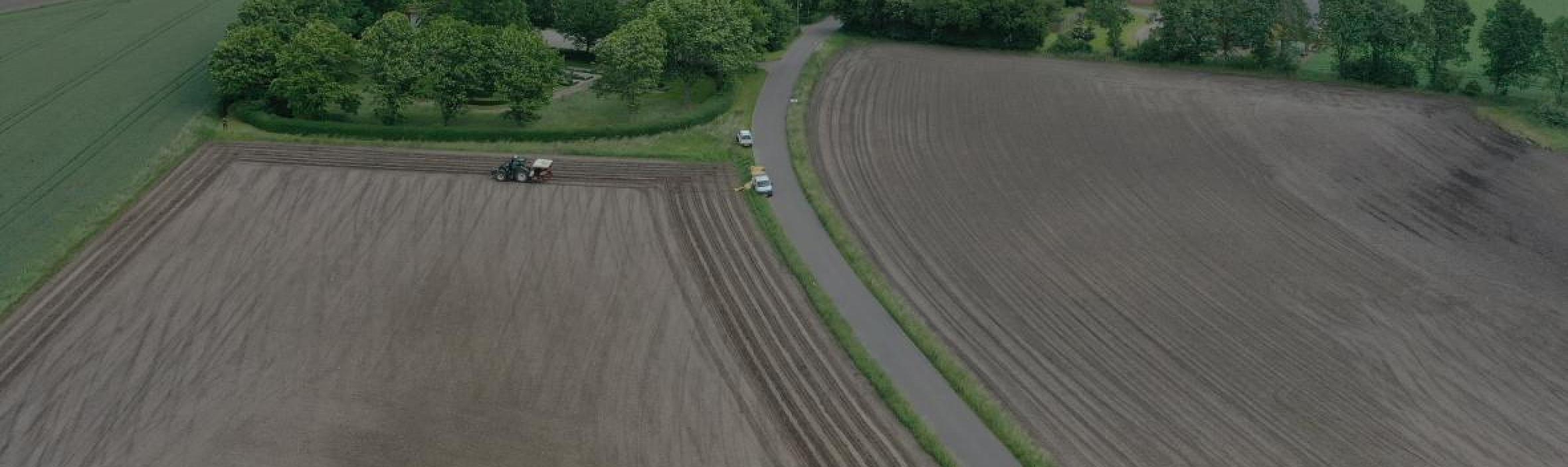 Dronefoto af Vejlby Kirkeskov