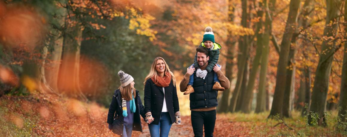 familie går tur i efterårsskov 