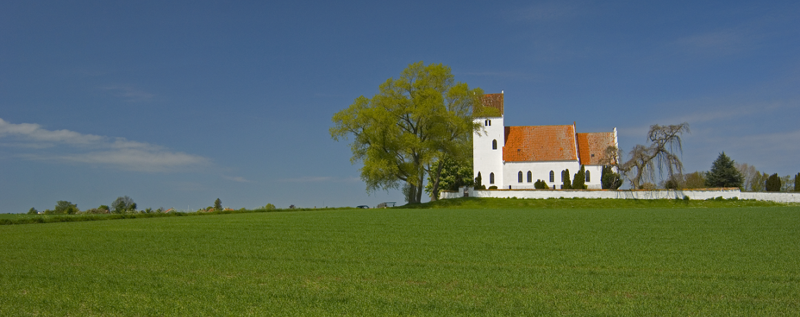 Foto af dansk kirke med mark foran 