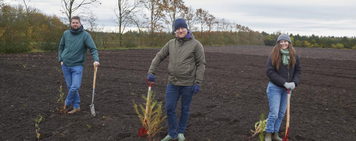 foto af mennesker der planter bøgetræer på en mark 