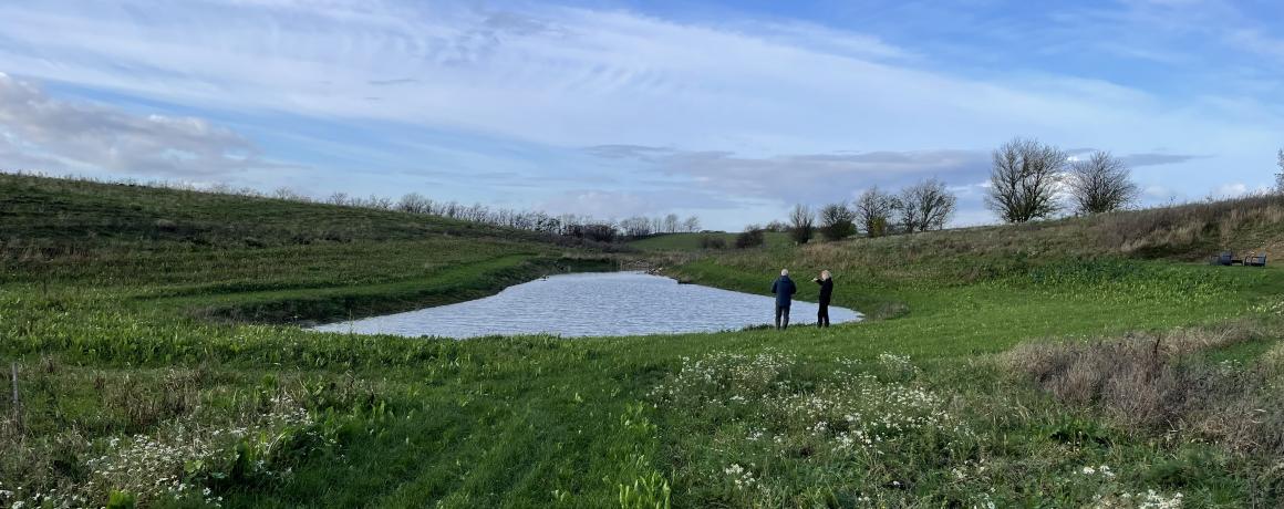 Foto af nyanlagt sø i ny skov