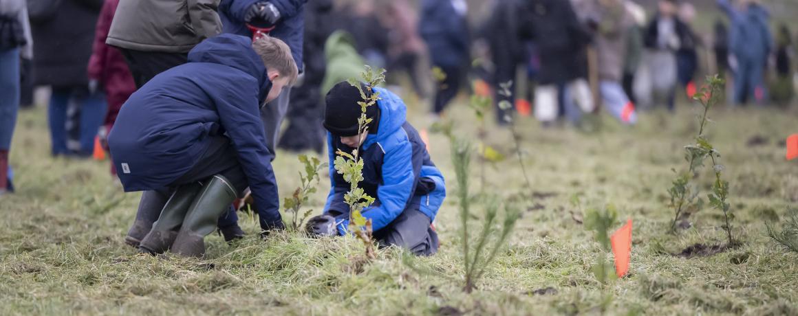 foto af børn der planter træer