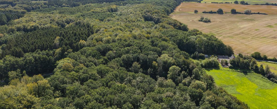 luftfoto af skovområde