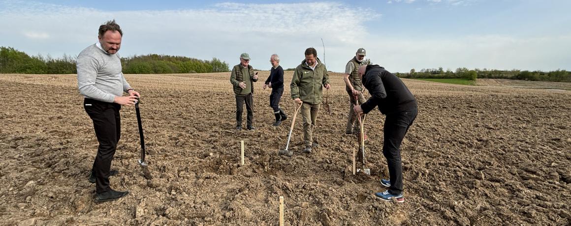 dan jørgensen planter træer