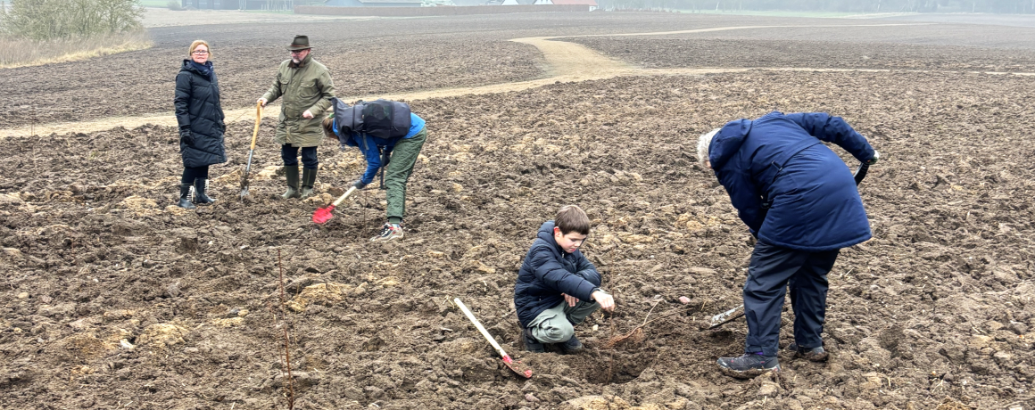 foto af mennesker der planter træer med stisystem i baggrunden