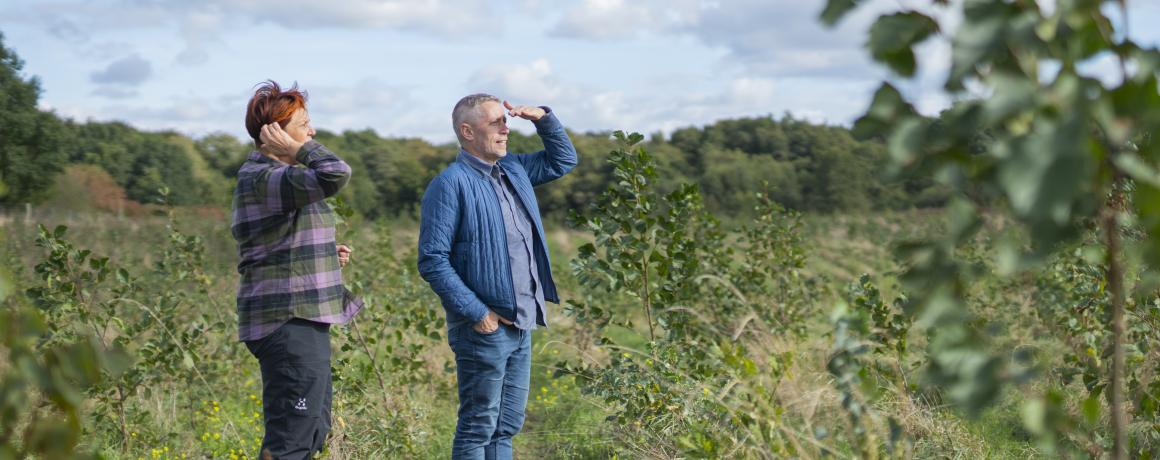 foto af mennesker der kigger på mark 