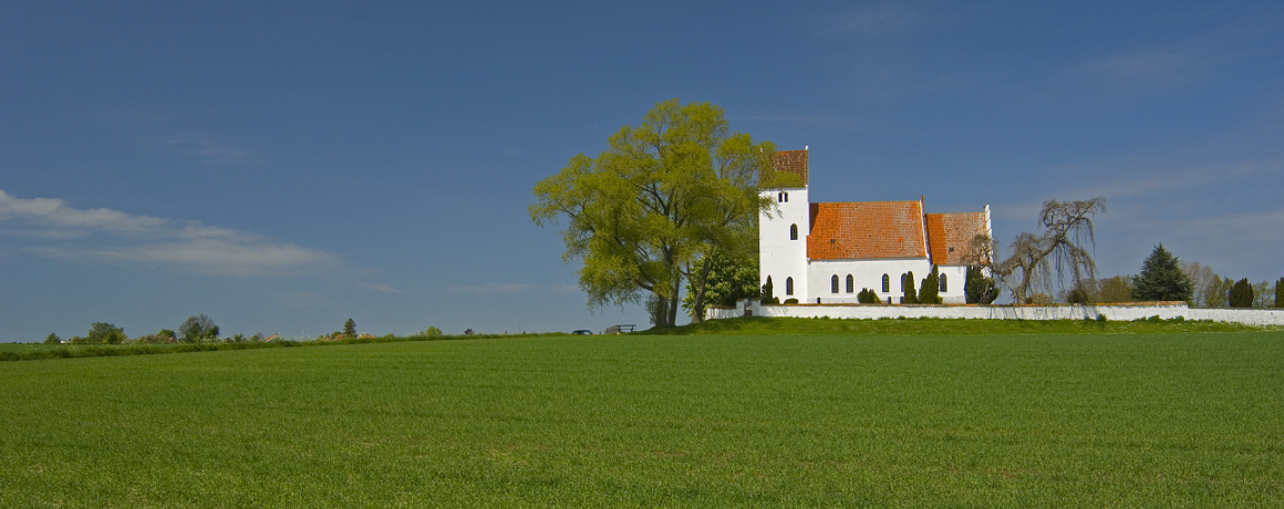 Hvid kirke omkranset af mark