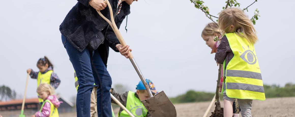 Børnene var meget engagerede i at plante frugttræer i det, der bliver skovens lille frugtlund. Foto: Signe Goldmann