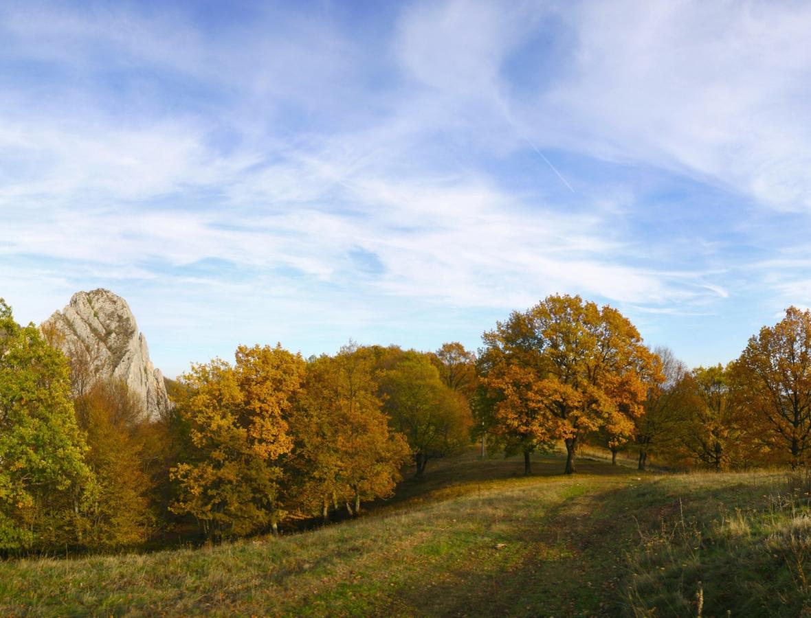 Klimaskov
