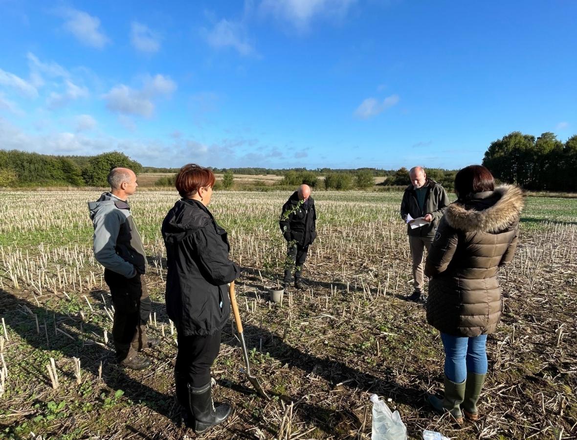 Mennesker på mark i Aabenraa der skal omdannes til skov 