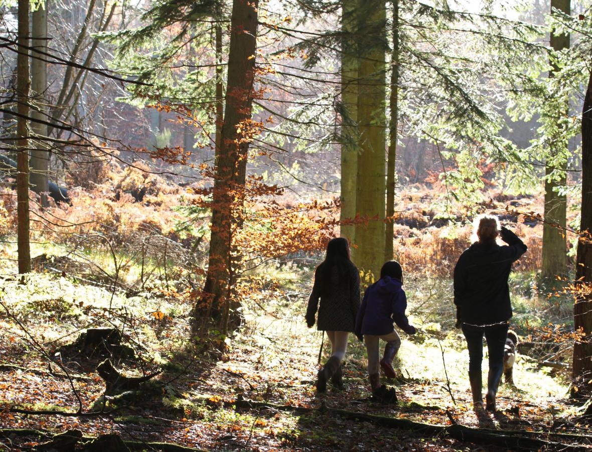 efterårsskov med familie