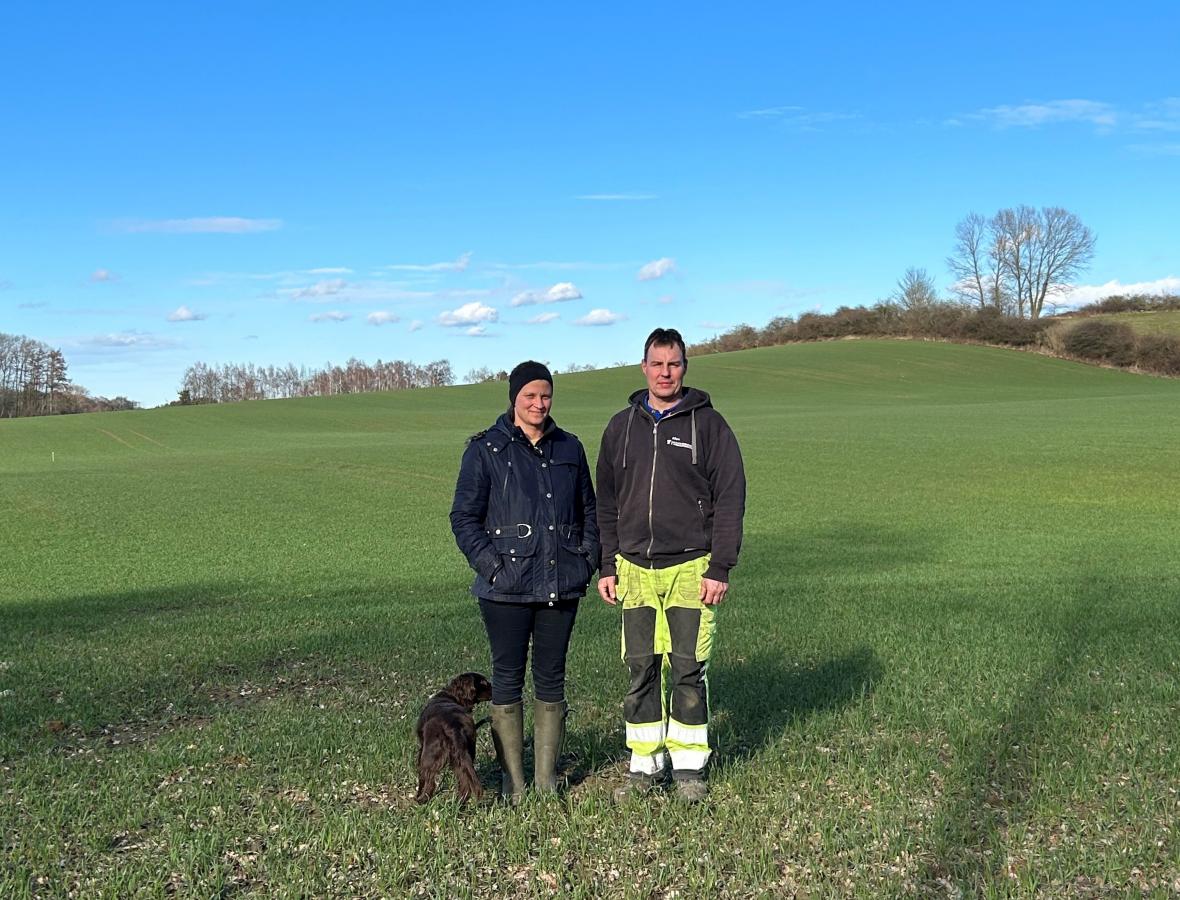 areal i Vallensved hvor der skal plantes skov