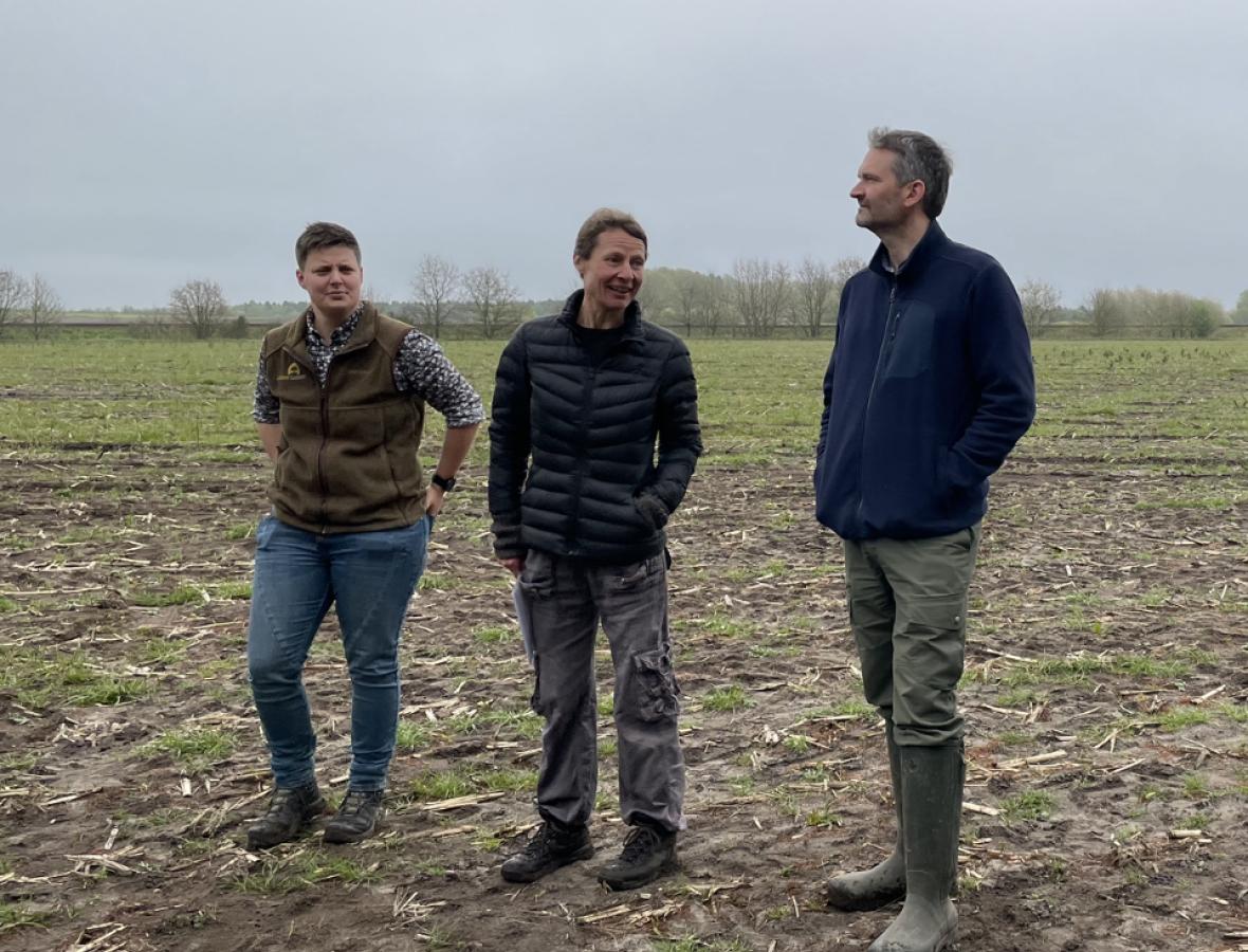 lodsejerne på marken