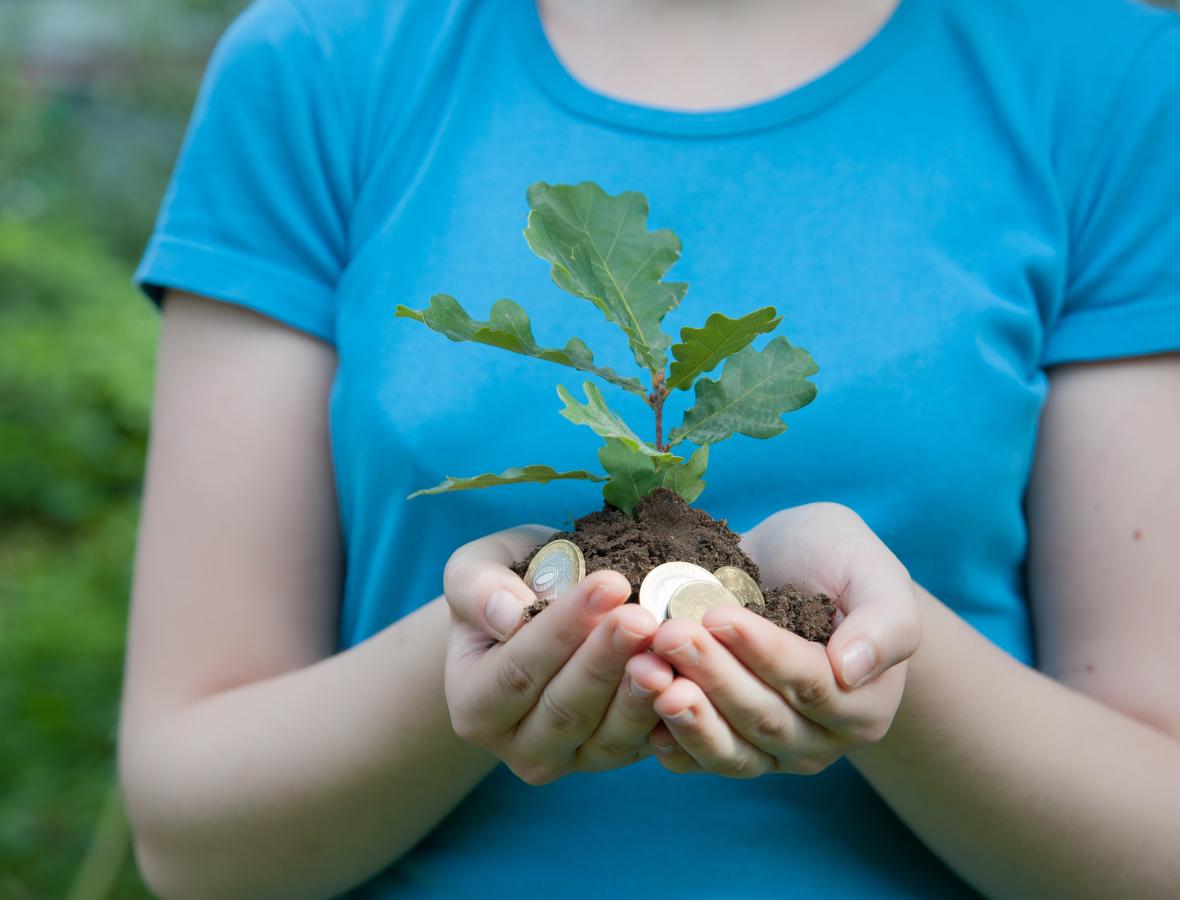 Foto af pige der holder et lille egetræ i hånden