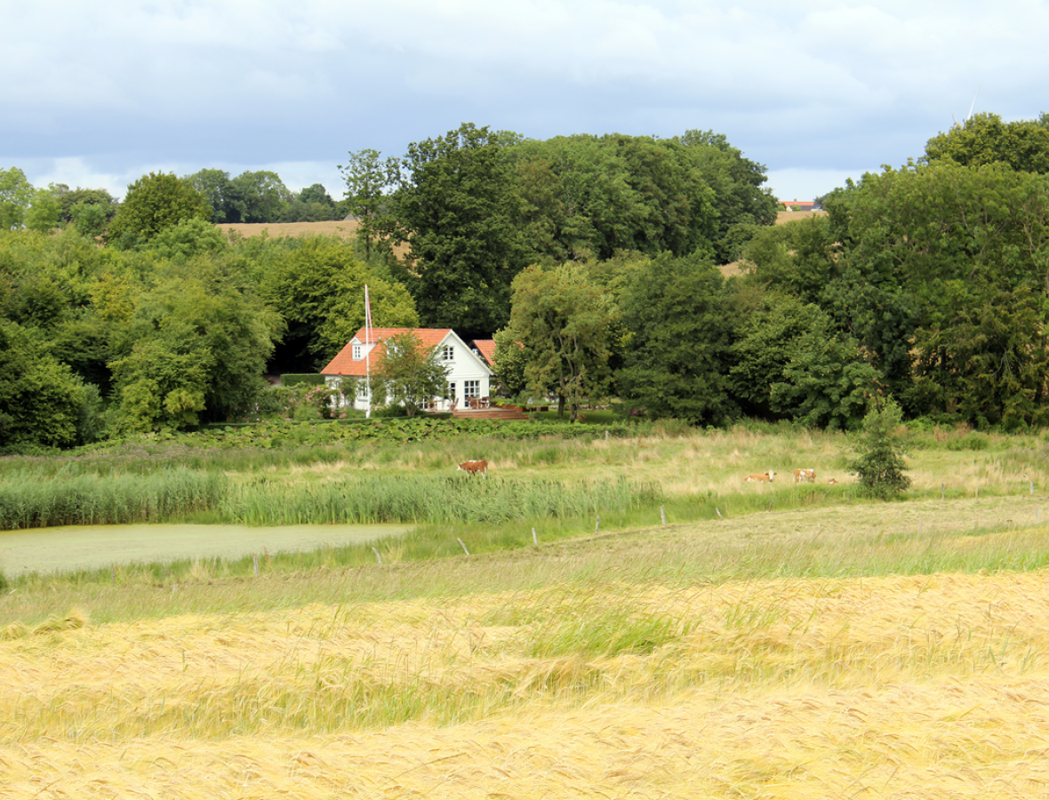 foto af hus i udkanten af en skov 