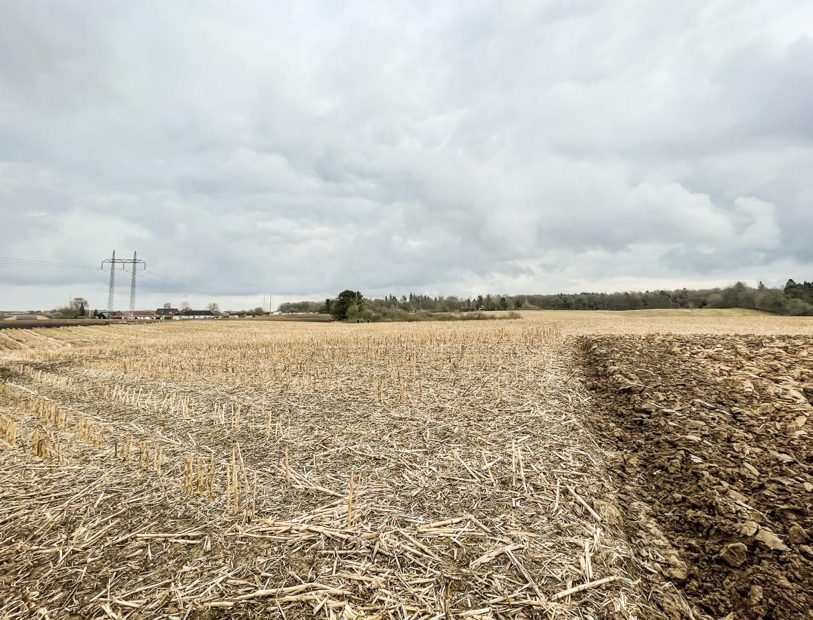 Areal i Hvalsø før beplantning