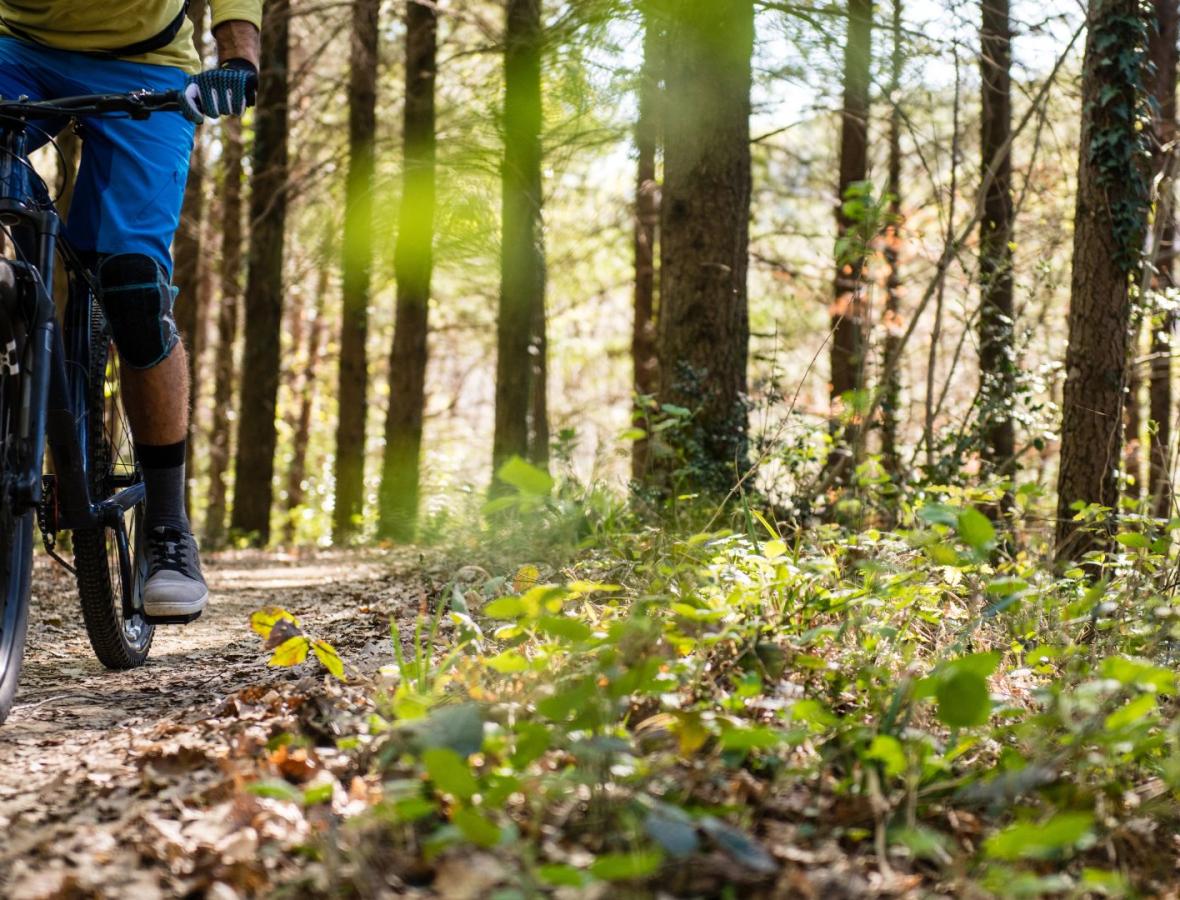 Mountainbiker i skov