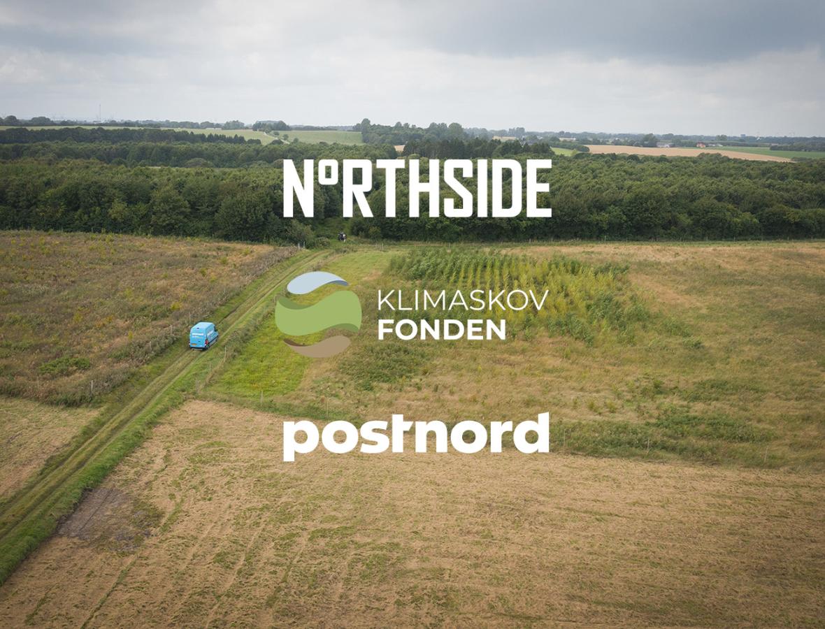 Sammen står skoven stærkere - PostNord - NorthSide - Klimaskovfonden