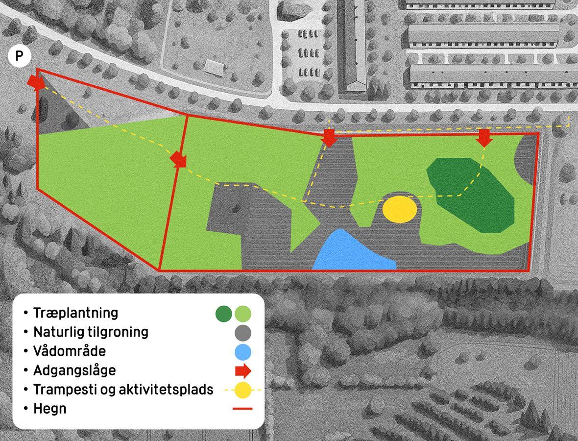 Skovholmene i Køge - DIF 2