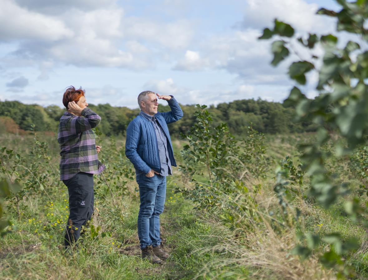 foto af to mennesker der kigger ud over skov 
