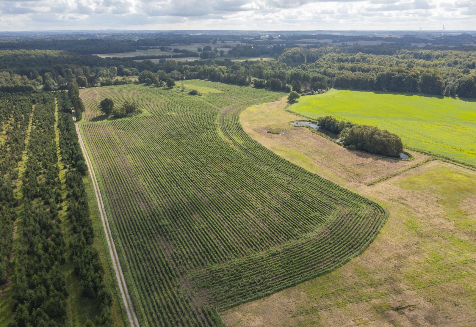 luftfoto af landskab