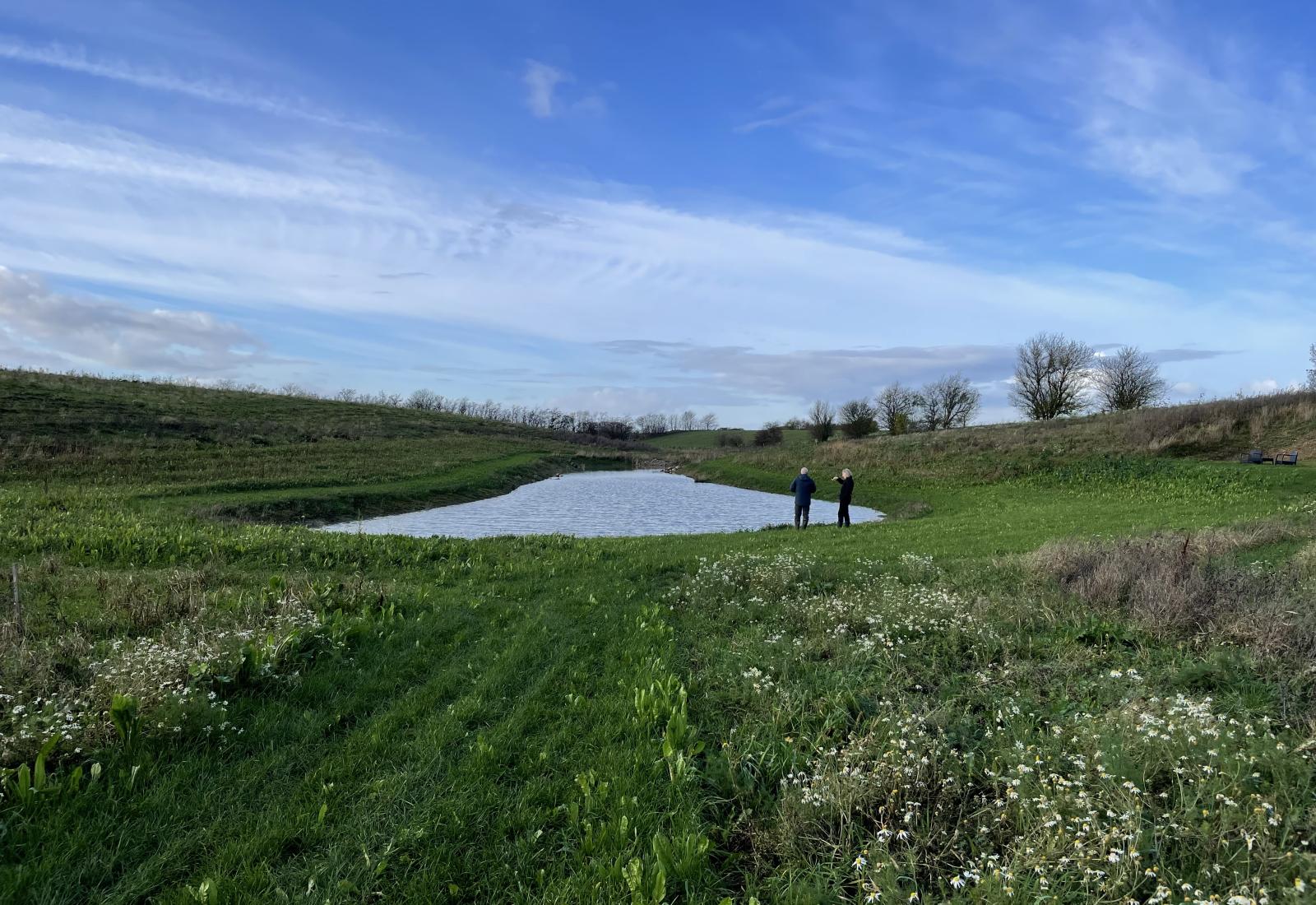 Foto af nyanlagt sø i ny skov