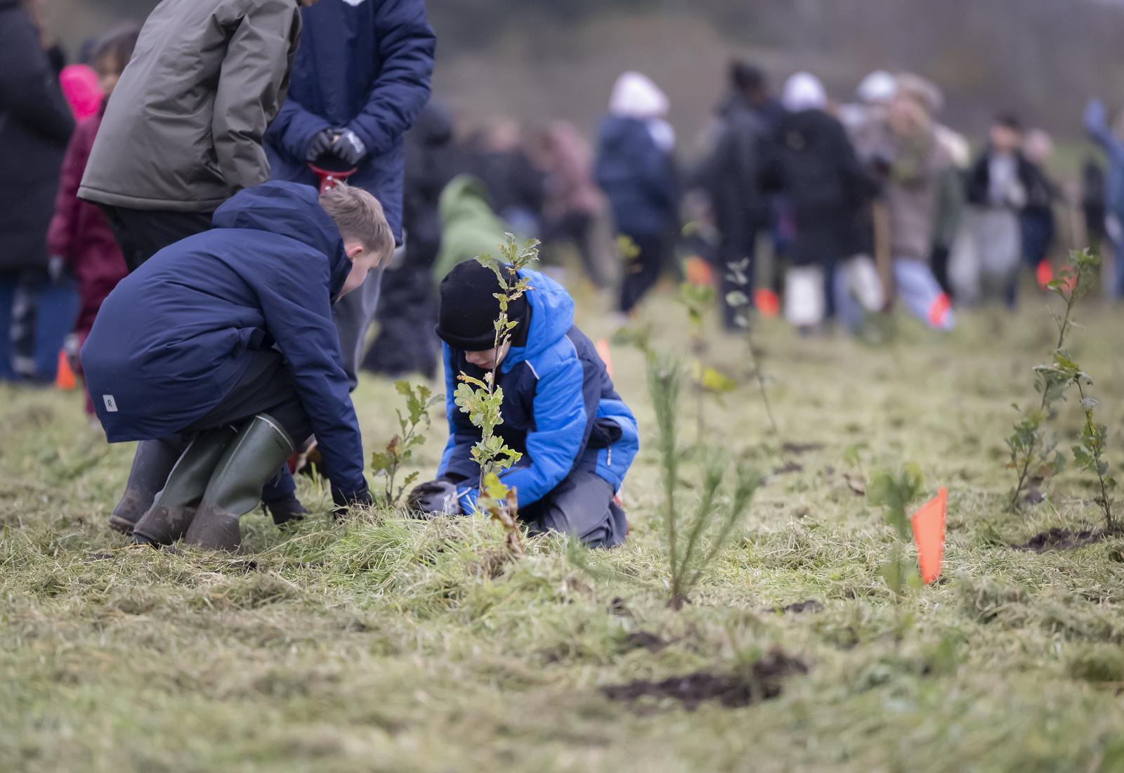 foto af børn der planter træer