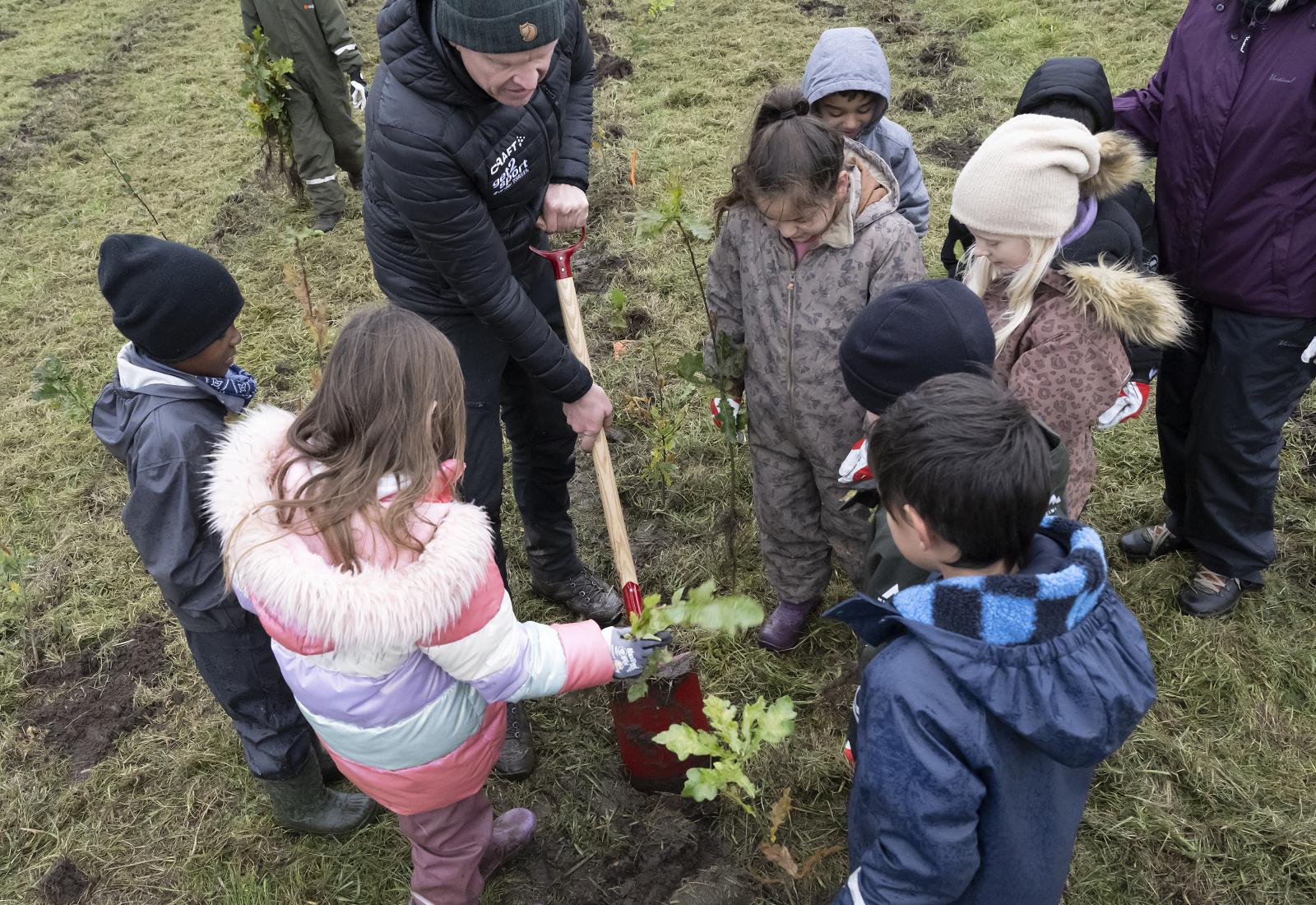 foto af skolebørn planter træer i esbjerg