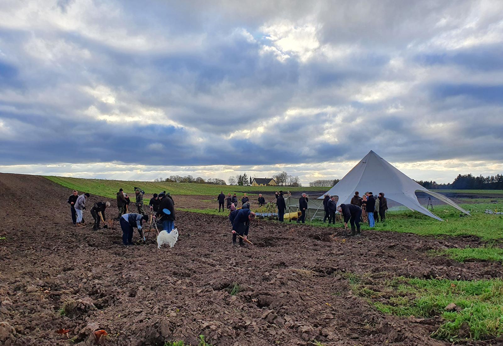 Fælles planteevent i Randers