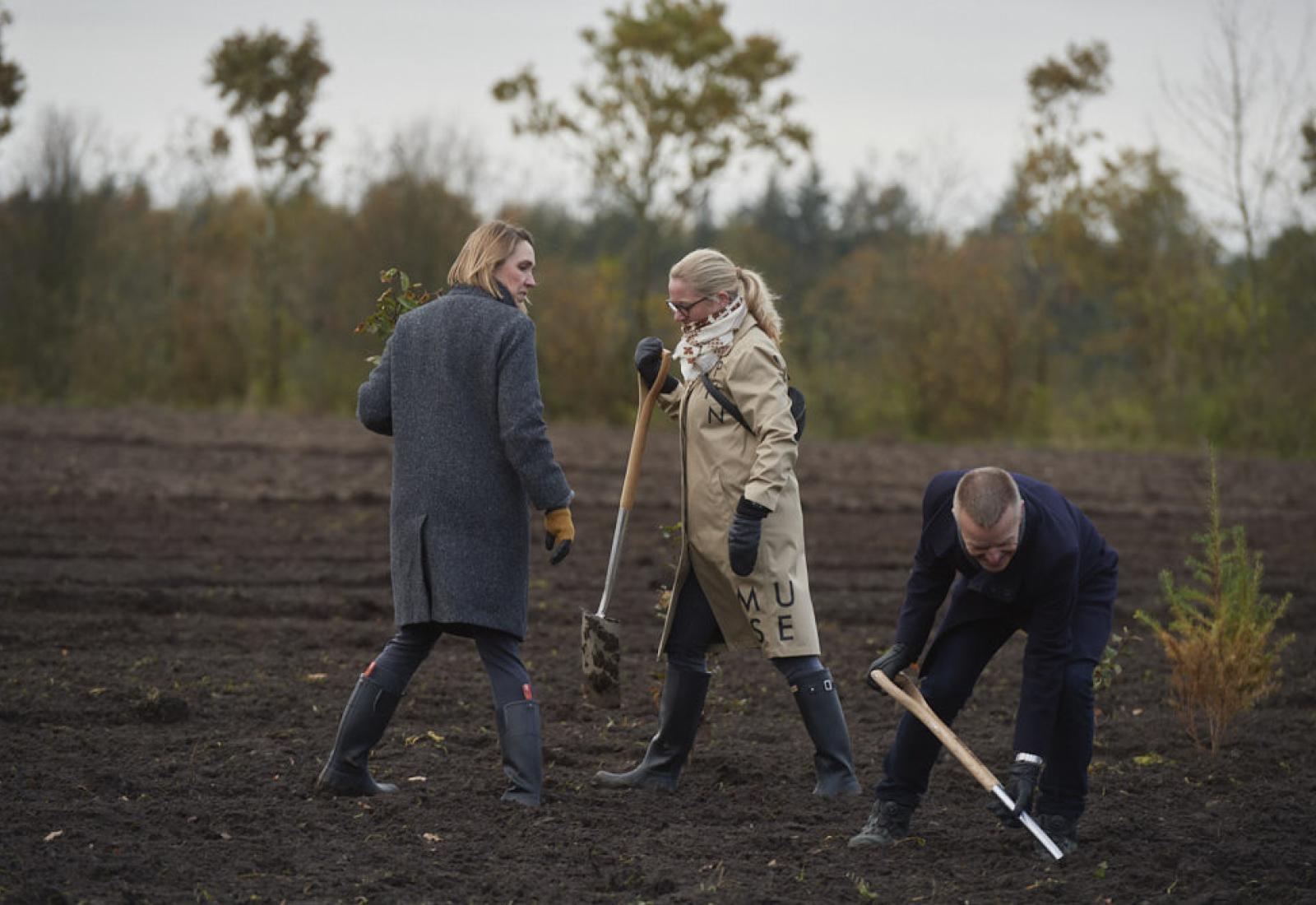 foto af mennesker på mark