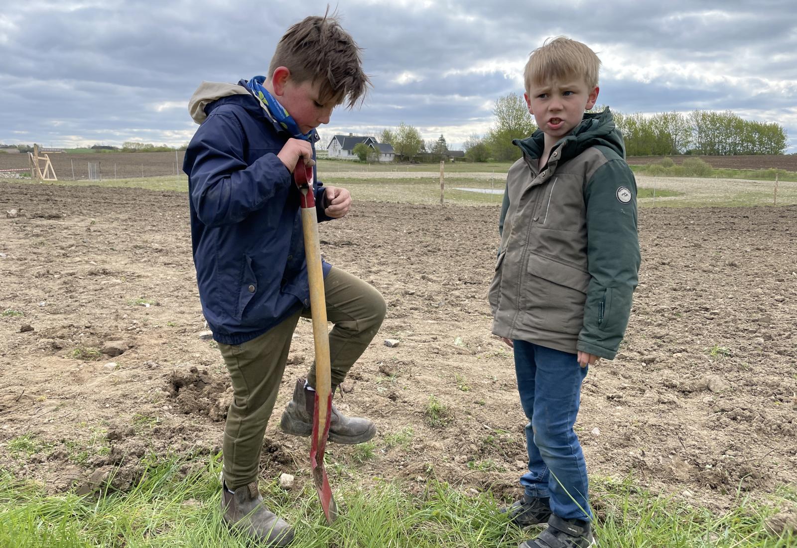 drenge planter skov 