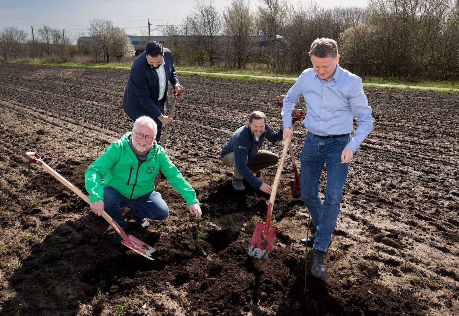 foto af nogle der planter træer 