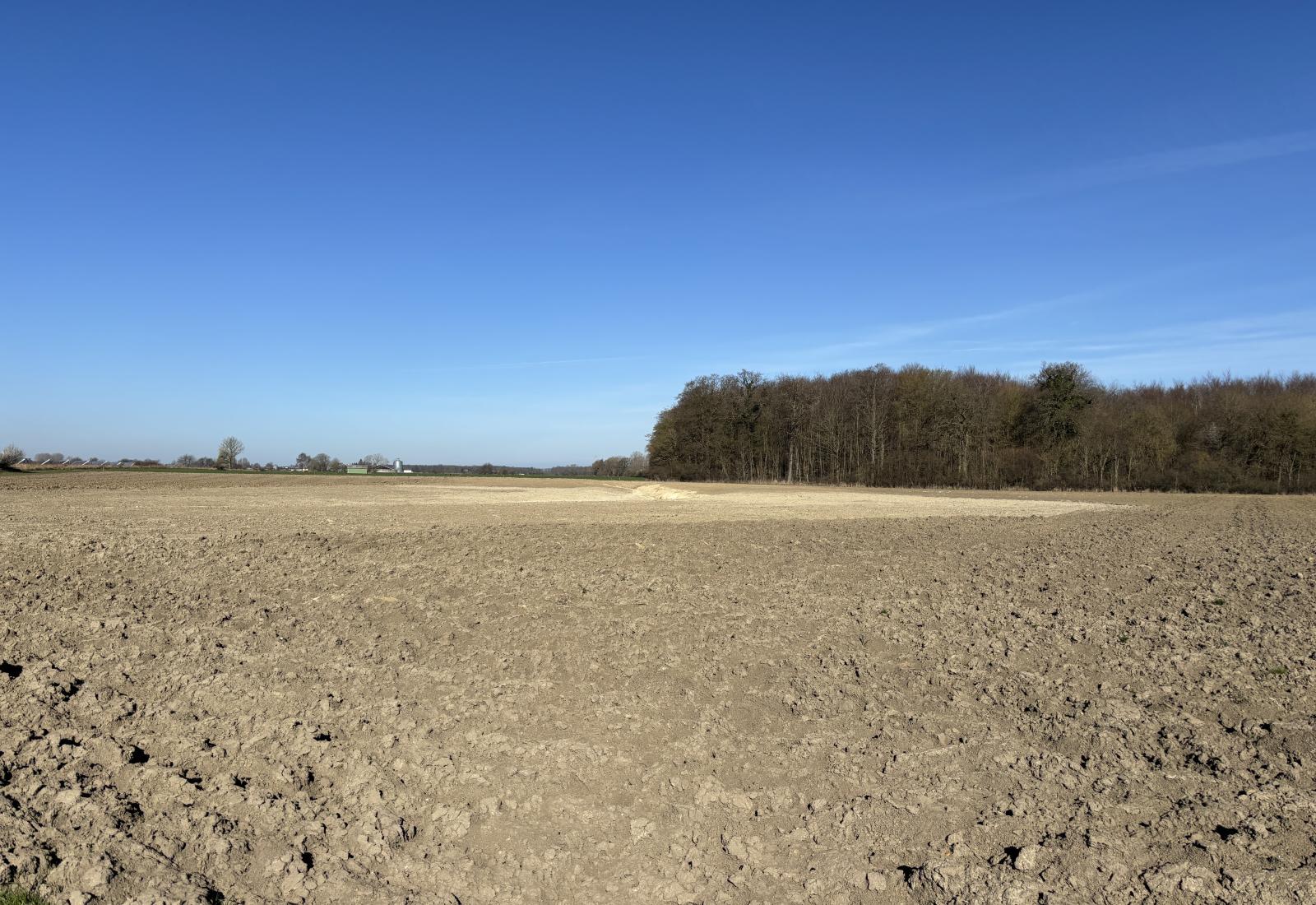 foto af mark inden tilplantning