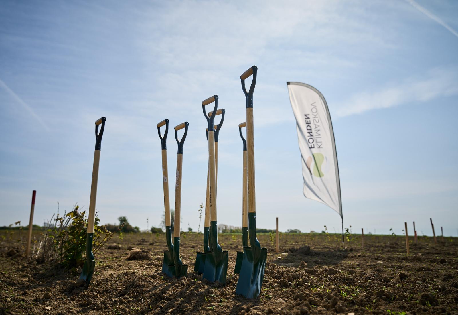100 træer plantes i Haslund