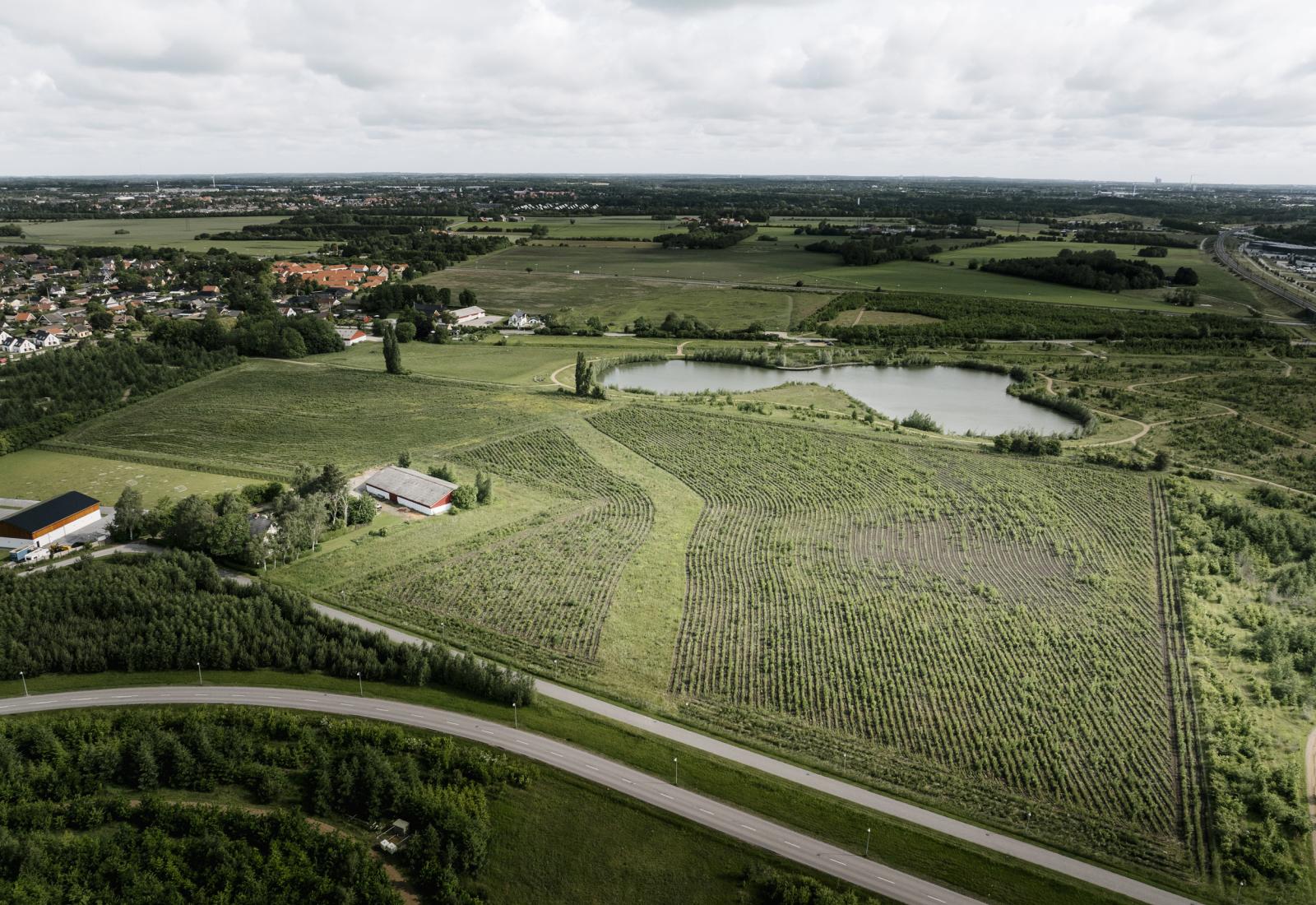 Landsbyskoven i Ishøj set oppe fra
