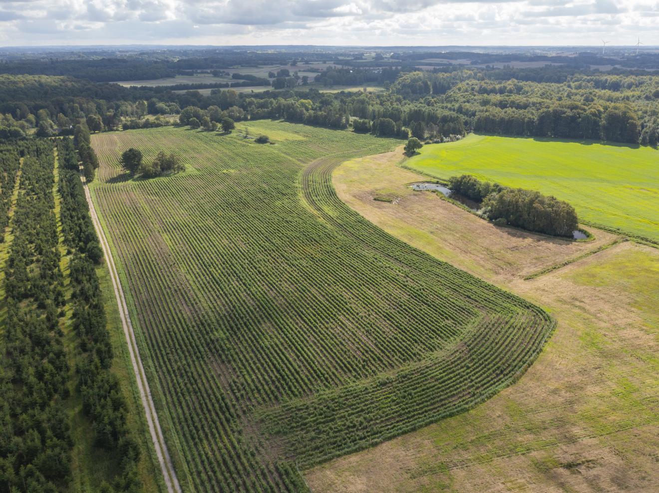 luftfoto af landskab