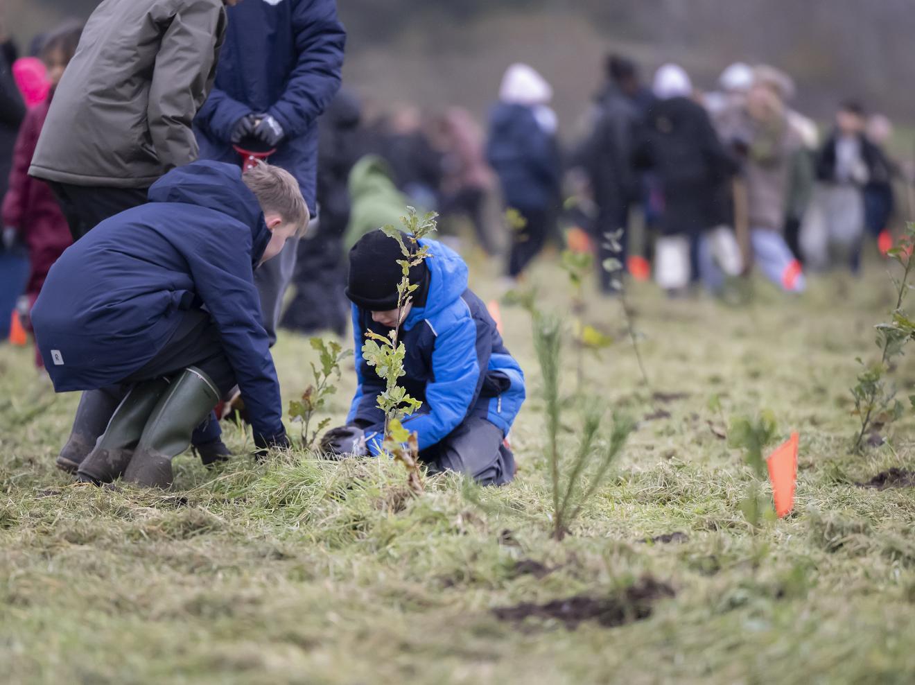 foto af børn der planter træer