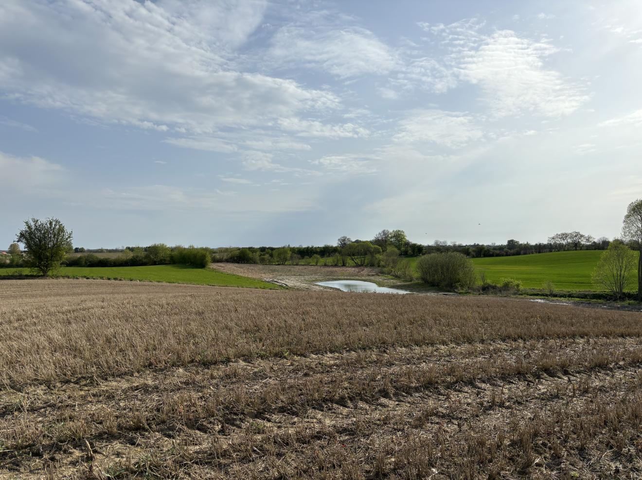 harndrup cesa 