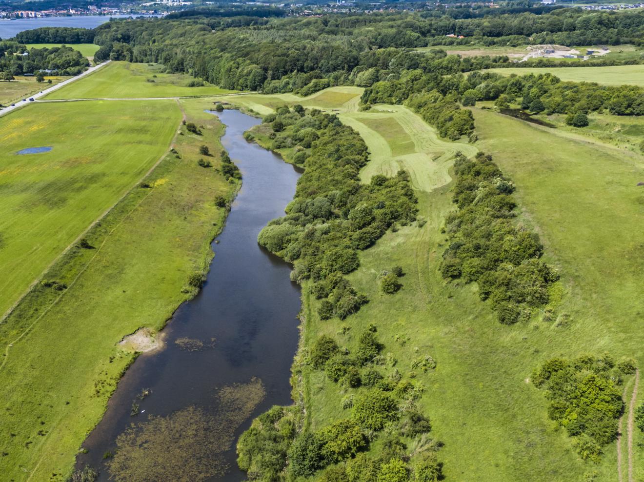 foto af vådområde