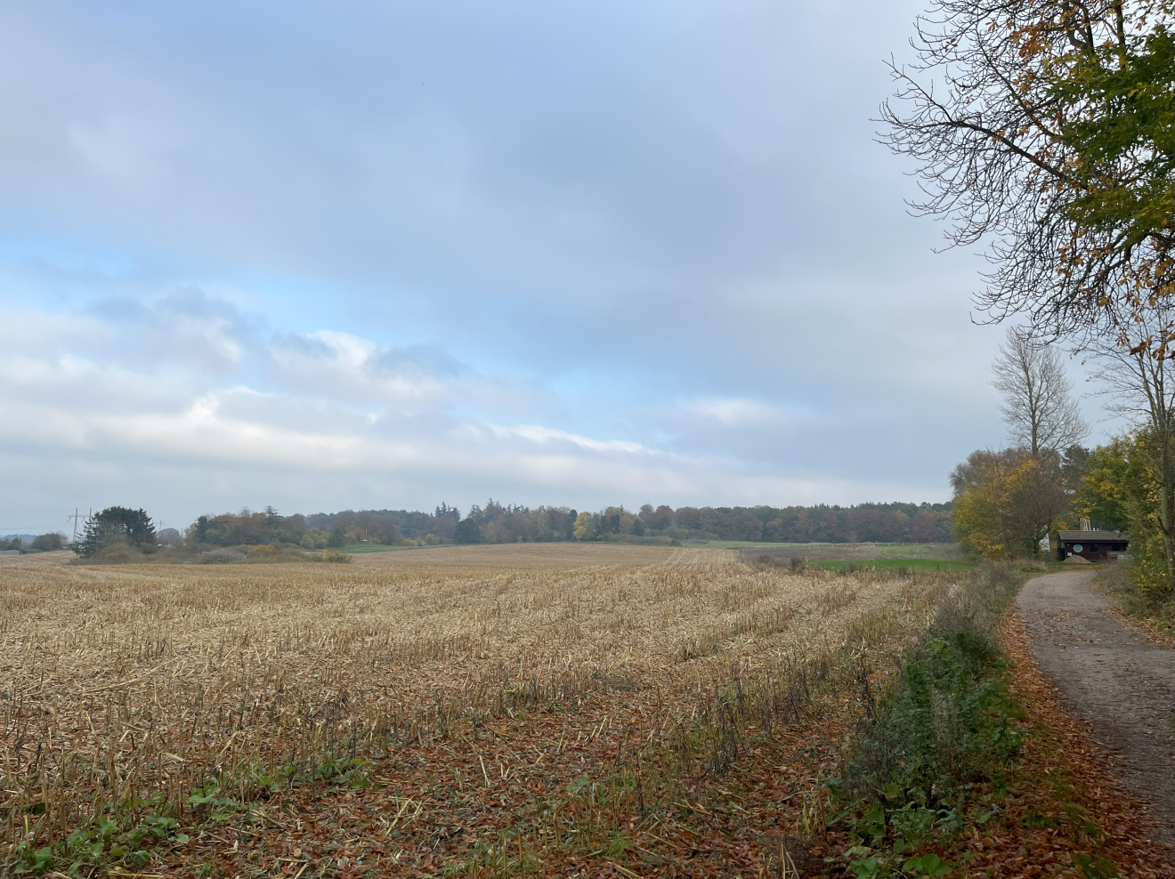 hvalsø