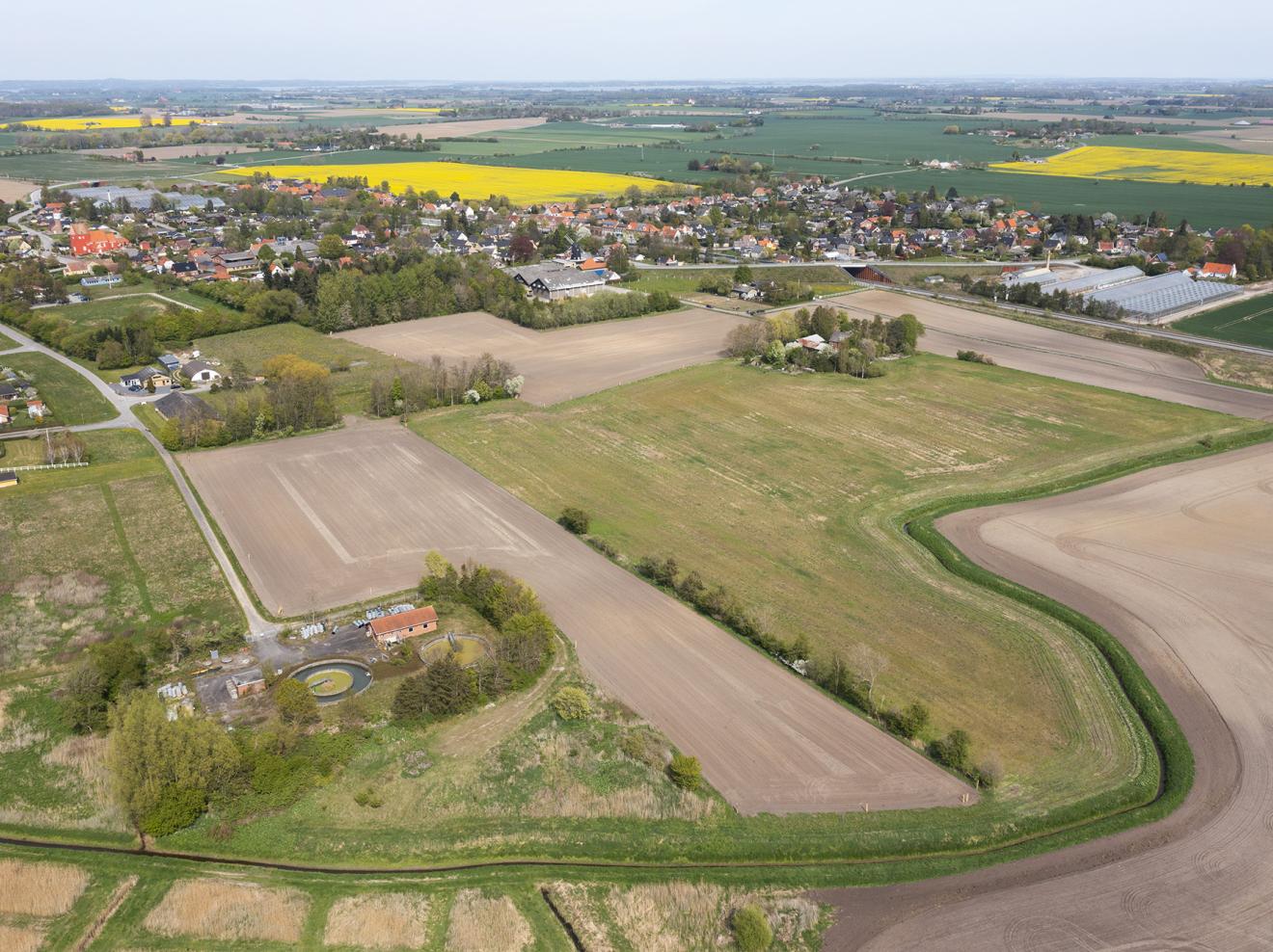 Eskilstrup-skoven set fra Syd-vest