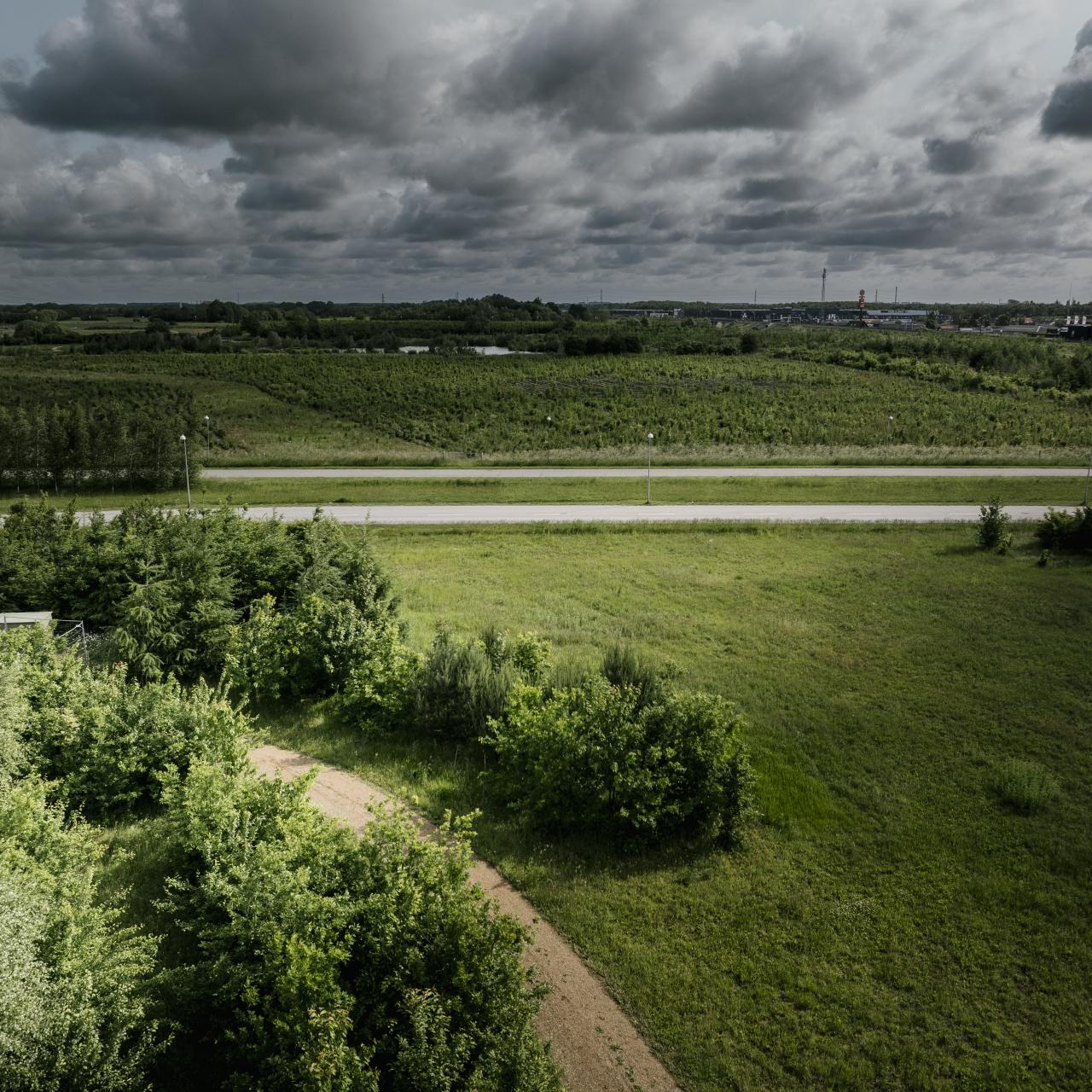 luftfoto af skov