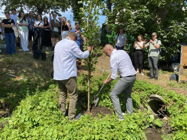 Poul Erik Lauridsen hjælper Magnus Heunicke med at plante et træ 
