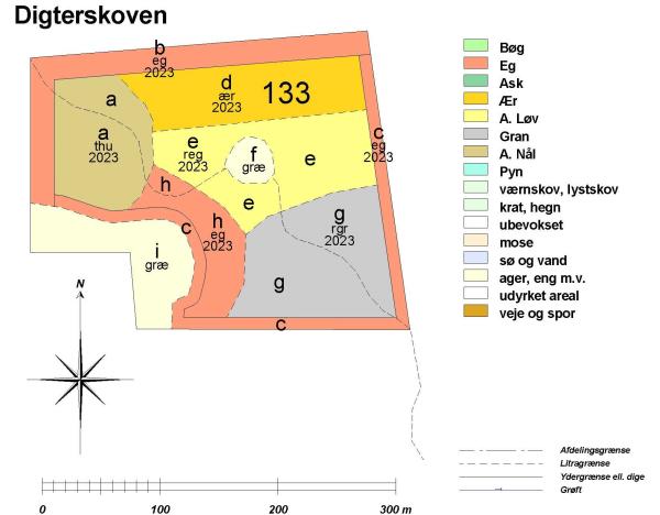 billede af nyplantet skov 