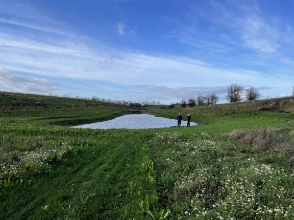 Foto af nyanlagt sø i ny skov