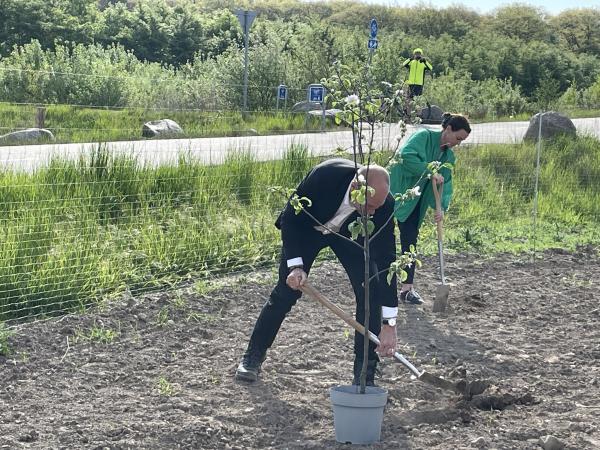 Miljøministeren planter træer 
