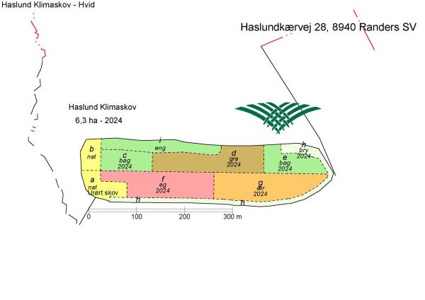 Skovkort haslund